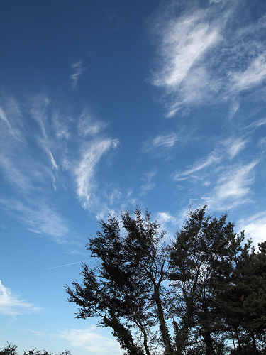 6115743940_8b98e4990d.jpg 6115743940_8b98e4990d.jpg